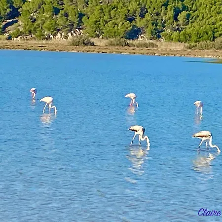Chalet L' Alienor Gruissan